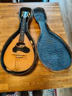 G. Puglisi Reale & Figli antique Catania mandolin 1917, Muziek en Instrumenten, Snaarinstrumenten | Gitaren | Akoestisch, Ophalen of Verzenden