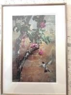 Schilderij Black-chinned Hummingbird (kolibri), Terry Isaac, Antiek en Kunst, Kunst | Schilderijen | Klassiek, Ophalen of Verzenden