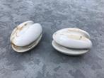 Porseleinen Isolator eitjes (8 cm x 5,5 cm) ongepoetst, Antiek en Kunst, Ophalen