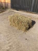 hooi, Dieren en Toebehoren