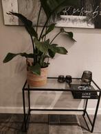 Drie dezelfde sitetable 30 per stuk, 50 tot 100 cm, Ophalen of Verzenden, Zo goed als nieuw, 25 tot 50 cm