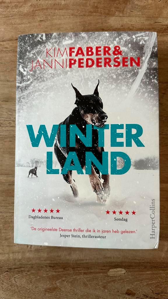 Kim Faber - Winterland, Boeken, Thrillers, Zo goed als nieuw, Ophalen of Verzenden