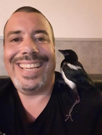 GEZOCHT Camper bestelbus caravan  beschikbaar voor biedingen