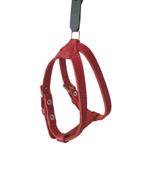 ALOKÉ Harnas / Hondentuig Leer XXS Borst 28,5-31cm Red -30%!, Ophalen of Verzenden, Nieuw