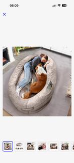 Hondenmand, Ophalen, Zo goed als nieuw