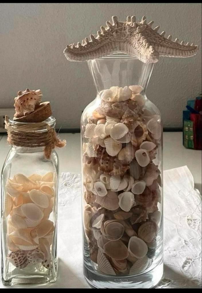 Decoratieve Schelpen in Glazen Potten, Antiek en Kunst, Antiek | Woonaccessoires, Ophalen of Verzenden