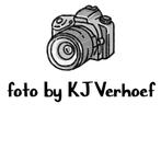 Gezocht dia’s en foto’s partijen van vrachtwagens, Ophalen of Verzenden, Overige onderwerpen