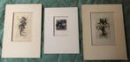 3 keer ex libris, Antiek en Kunst, Ophalen of Verzenden