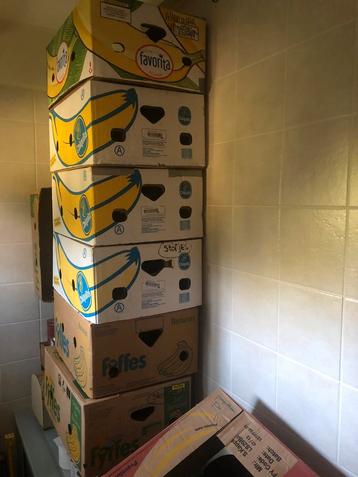 15 Bananendozen. Netjes. Ophalen. beschikbaar voor biedingen