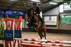 Prachtig springpaard / allrounder / hunter prospect, Dieren en Toebehoren, Merrie, Springpaard, B, Gechipt