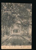 Ulvenhoutsch Bosch [009-3499, Verzenden, Voor 1920, Gelopen, Noord-Brabant