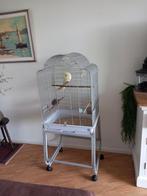 Vogelkooi zonder vogel, Dieren en Toebehoren, Ophalen of Verzenden, Zo goed als nieuw, Metaal, Vogelkooi