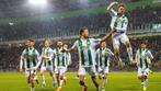 Gezocht: 3 Seizoenskaarten voor Fc Groningen, Tickets en Kaartjes, Seizoenskaart, Drie personen of meer, Juli