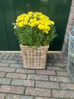 Rieten mand, Tuin en Terras, Bloembakken en Plantenbakken, Ophalen of Verzenden, Zo goed als nieuw, Rond, Minder dan 30 cm