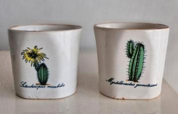 Twee Cactus Bloempotjes beschikbaar voor biedingen