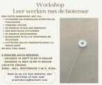 Workshop biotensor 19sept Zwaag/Hoorn. Nog enkele plekken!, Ophalen, Zo goed als nieuw