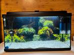Aquarium 100 liter, Ophalen, Gevuld zoetwateraquarium