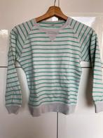 Trui 140/146 HEMA, Ophalen of Verzenden, Gedragen, Maat 34 (XS) of kleiner, Groen