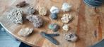 Mooie verzameling fossielen, Verzamelen, Mineralen en Fossielen, Ophalen of Verzenden, Fossiel