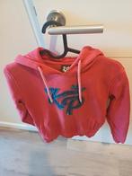 Knolpower hoodie, Kinderen en Baby's, Kinderkleding | Maat 134, Jongen of Meisje, Trui of Vest, Knolpower, Ophalen of Verzenden