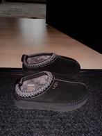 Ugg Tazz II - platform Uggs Tasman mt 35, Zwart, Boots, Nieuw, Ophalen of Verzenden