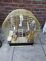 te koop vogelkooi, Dieren en Toebehoren, Ophalen, Zo goed als nieuw, Metaal, Vogelkooi