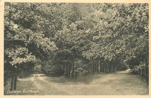 (701-048-023) Lunteren Buurtbosch, Verzamelen, Ansichtkaarten | Nederland, Gelderland, Verzenden