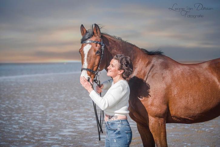 Ervaren paarden/katten/kippen/knaagdieren oppas Rockanje eo, Diensten en Vakmensen, Dieren | Katten | Verzorging, Oppas en Les