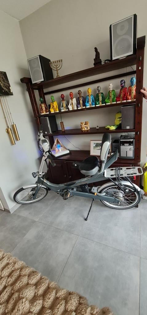 Reviva fiets, Fietsen en Brommers, Ophalen, Gebruikt, Overige merken, Versnellingen