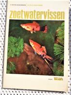 4 delen zo leer je vogels 2 en 2 vissen rizla,Natuur,RECLAME, Verzenden, Zo goed als nieuw, Vissen, Rizla vissen en vogels