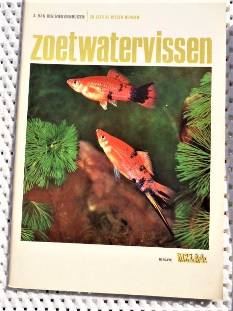 4 delen zo leer je vogels 2 en 2 vissen rizla,Natuur,RECLAME, Boeken, Dieren en Huisdieren, Zo goed als nieuw, Vissen, Verzenden