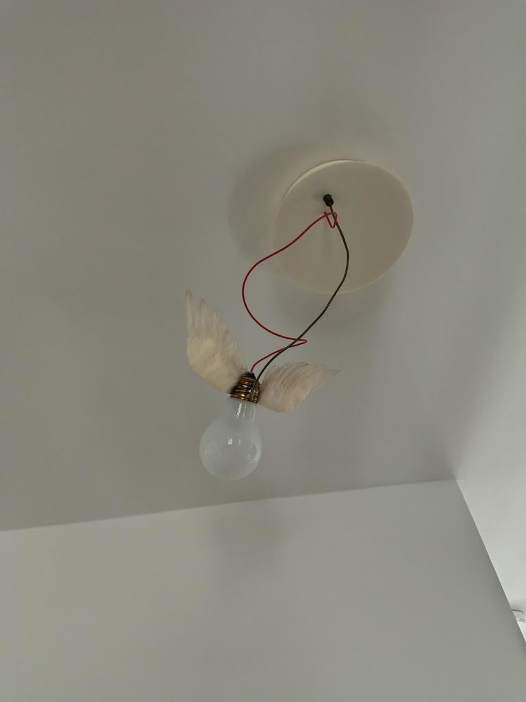 Ingo maurer lucelino plafond of wand, Ophalen of Verzenden