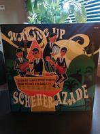 Scheherazade - Waking Up - Arabian Garage Psych Nuggets, Cd's en Dvd's, Ophalen of Verzenden, Zo goed als nieuw, 12 inch