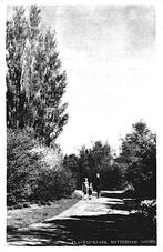 913734 Rotterdam Plaswijkpark 1955 Gelopen met zegel, Ophalen of Verzenden, 1940 tot 1960, Gelopen, Zuid-Holland