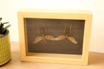 Taxidermie kader met roofkrekels, Ophalen of Verzenden, Zo goed als nieuw, Insect, Opgezet dier