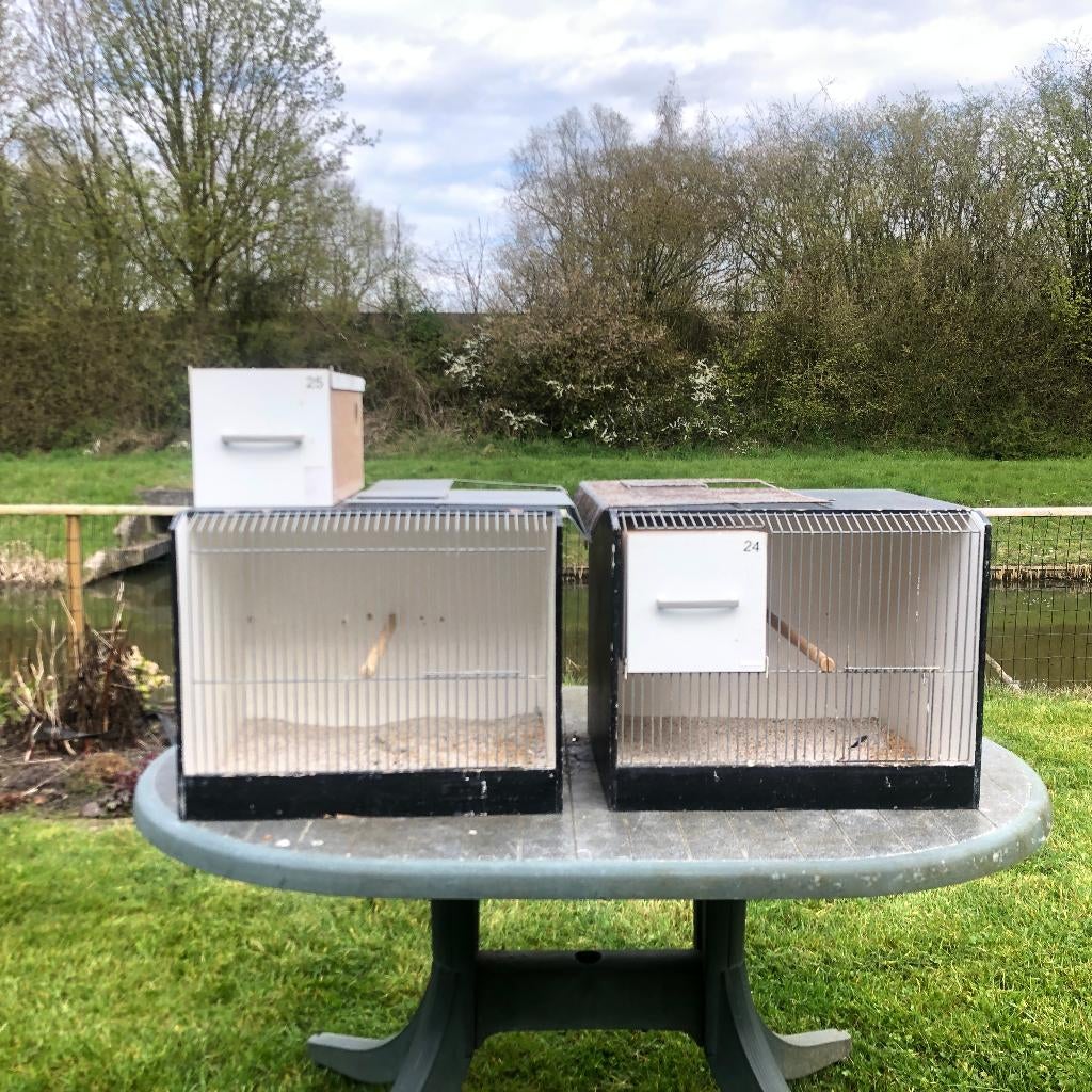 Vogelkooi en broedkooi, Dieren en Toebehoren, Vogels | Hokken en Kooien, Ophalen, Gebruikt, Hout, Vogelkooi