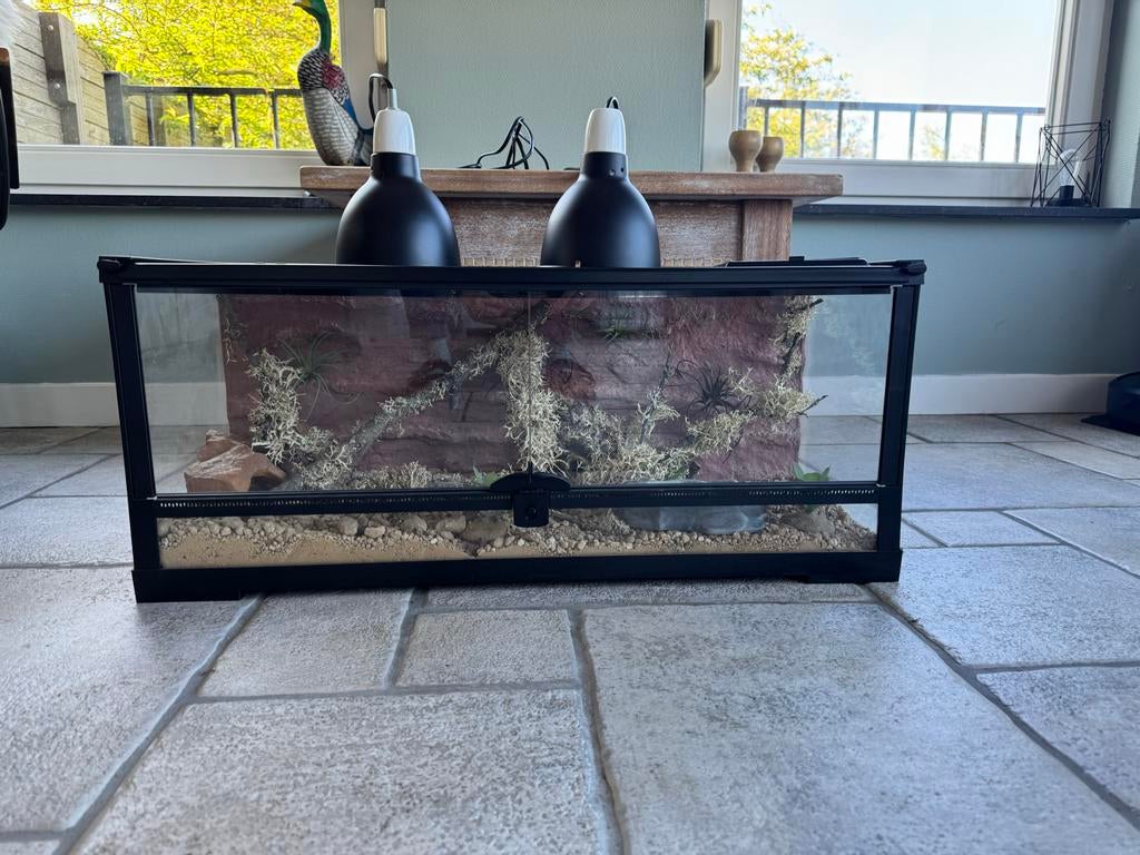 Compleet Terrarium 77 x 31 x 33 Nieuwstaat, Dieren en Toebehoren, Ophalen, Zo goed als nieuw