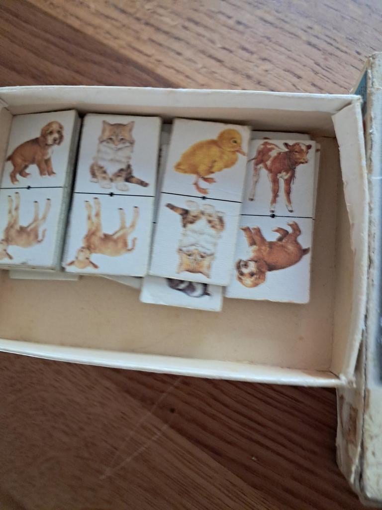 Domino vanaf 4 jaar, Ophalen of Verzenden