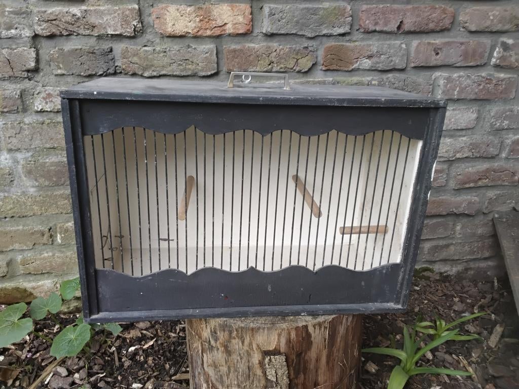 Tentoonstellingskooi, Dieren en Toebehoren, Vogels | Hokken en Kooien, Ophalen, Gebruikt, Hout, Vogelkooi