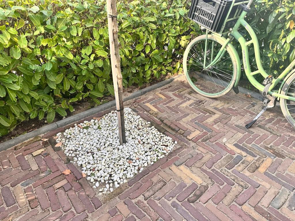 Witte sierkiezels - Gratis af te halen, Tuin en Terras, Grind, Keien en Split, Ophalen, Gebruikt, Wit, Grind