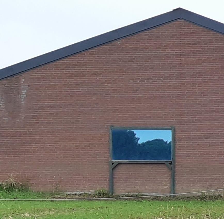 Dressuur spiegel paard buiten, Hobby en Vrije tijd, Overige Hobby en Vrije tijd, Ophalen, Zo goed als nieuw