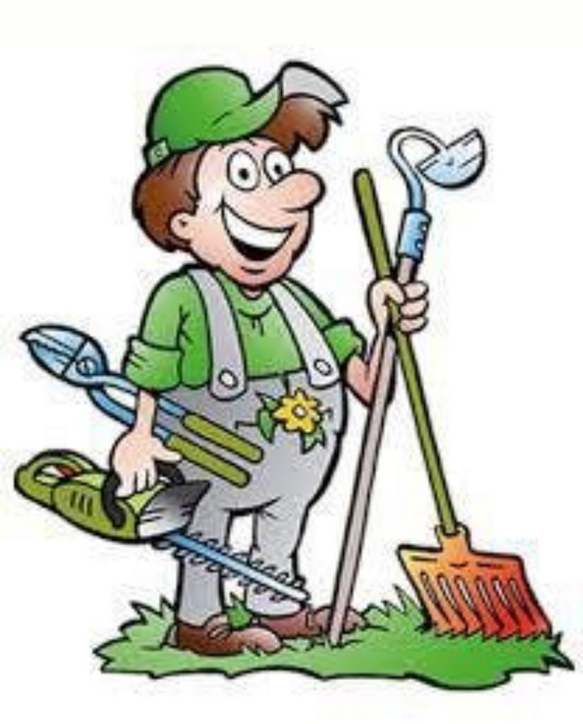 Mobiele Tuinman aangeboden in Amsterdam en Omgeving, Ophalen of Verzenden