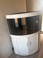 Hoek aquarium, Dieren en Toebehoren, Vissen | Aquaria en Toebehoren, Ophalen, Gebruikt, Leeg aquarium