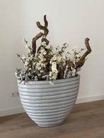 grote vazen, Ophalen, Overige kleuren, Aardewerk of Porselein, Zo goed als nieuw