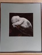 Grote Ingelijste Foto Anne Geddes voor € 10, Ophalen