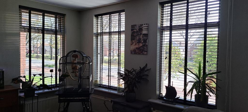 Jaloezieën  / Luxaflex, Ophalen of Verzenden