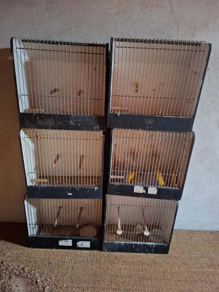 tentoonstelling kooitjes, Dieren en Toebehoren, Vogels | Hokken en Kooien, Ophalen, Gebruikt, Hout, Vogelkooi