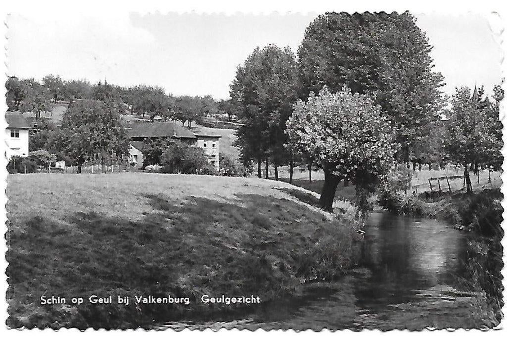 Schin op Geul Geulgezicht Oude Ansichtkaart ( 1245 ), Ophalen of Verzenden, 1940 tot 1960, Gelopen, Limburg