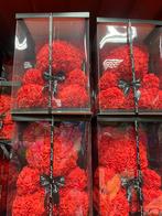 Grote aantallen knuffelberen en rozenberen voor handel, Ophalen of Verzenden, Nieuw