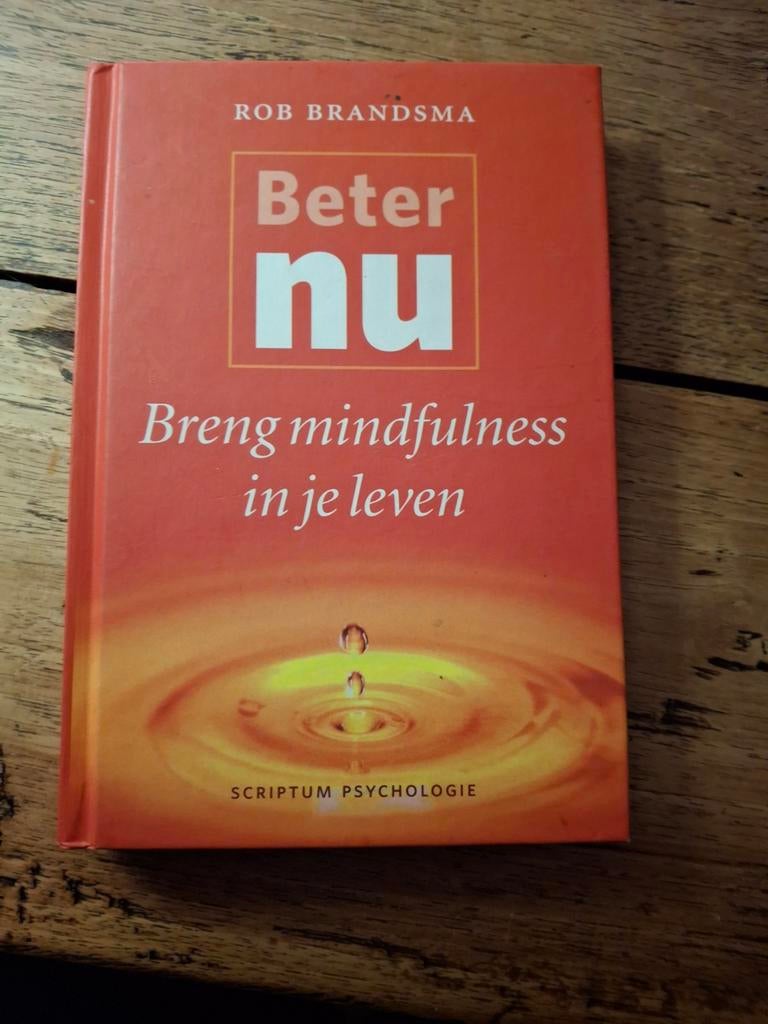 Rob Brandsma - Beter nu, Boeken, Ophalen of Verzenden, Zo goed als nieuw, Rob Brandsma